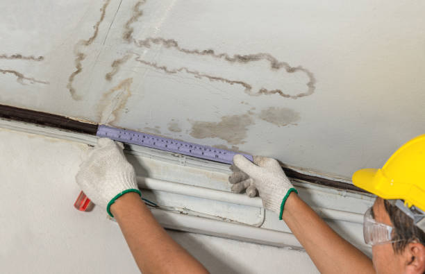 Reliable Burst Pipe Cleanup contractor in Orient, WA by Water Damage Irwin